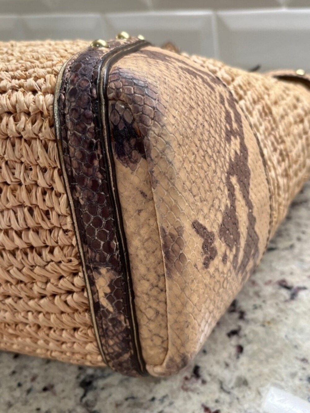 Coach Natalie Python & Raffa Tote - Picture 11 of 16